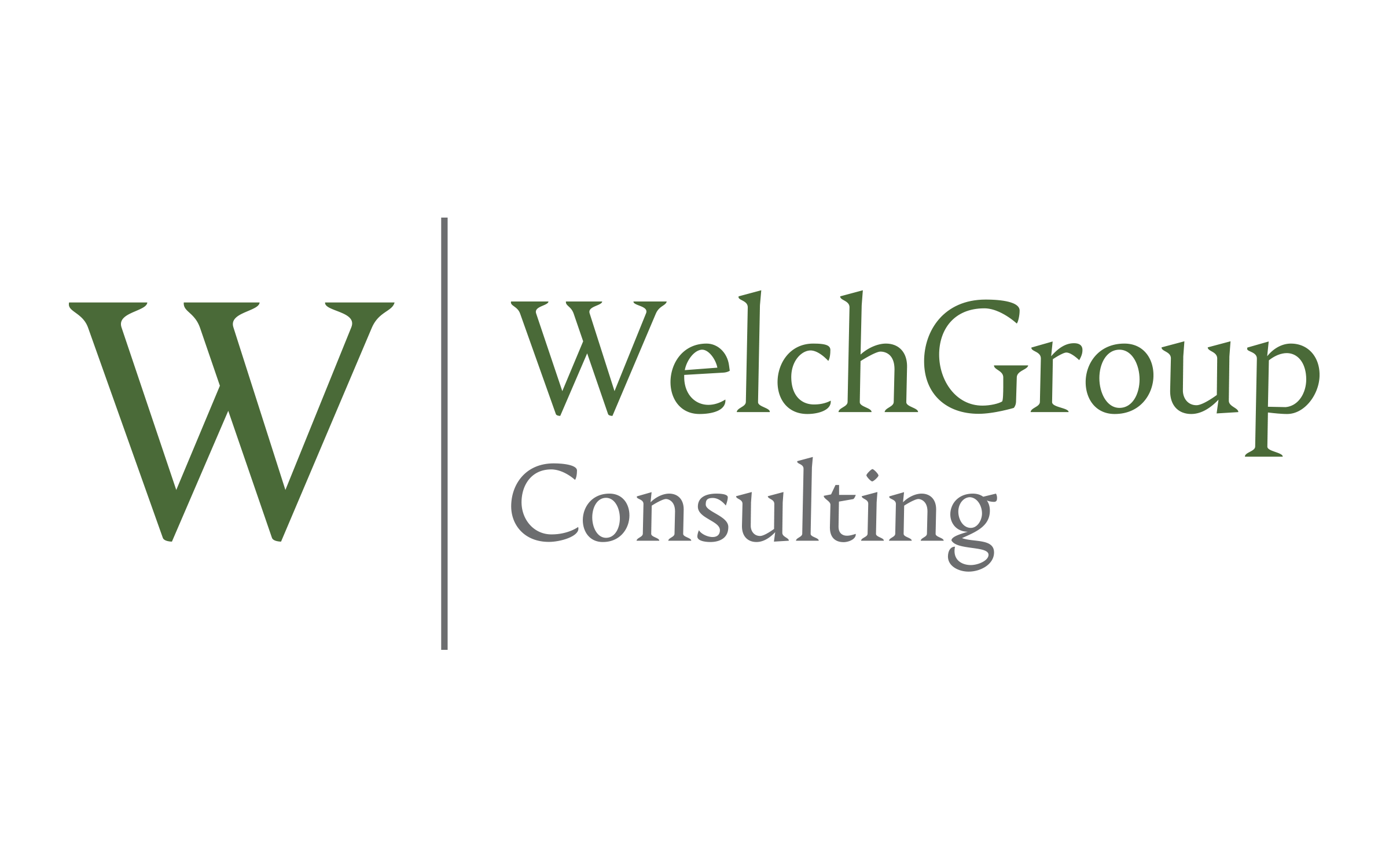WelchGroup Consulting